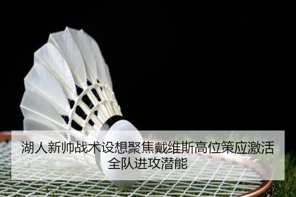 湖人新帅战术设想聚焦戴维斯高位策应激活全队进攻潜能