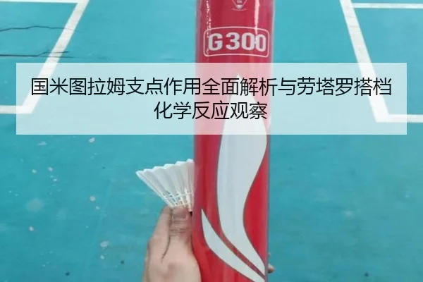 国米图拉姆支点作用全面解析与劳塔罗搭档化学反应观察
